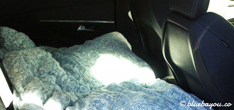 Schlafen auf der Rückbank: eine von drei Möglichkeiten, die Nacht